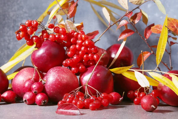 Stillleben Von Äpfeln Viburnum Und Weißdornbeeren Vor Blauem Hintergrund Zusammensetzung — Stockfoto