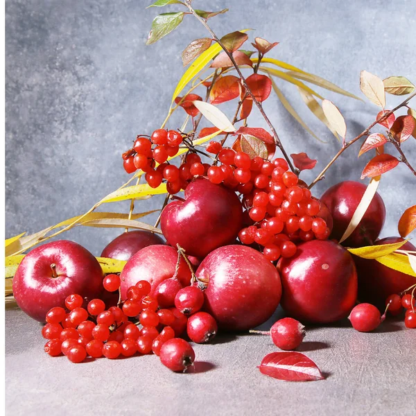 Stillleben Von Äpfeln Viburnum Und Weißdornbeeren Vor Blauem Hintergrund Zusammensetzung — Stockfoto