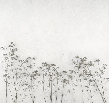 Taş kaplamalı kuru tarla çiçekleri. Kuru yabani çayır bitkileri, otlar veya otlar fotokopi alanı, kış konsepti. 