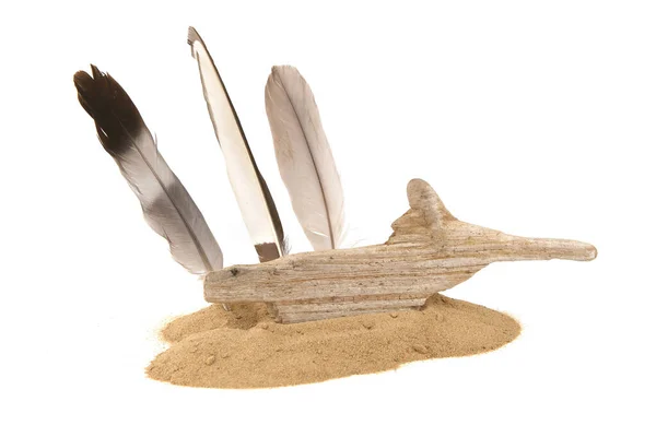 Driftwood Creature Feathers Sand Pile Isolated White Background Sea Beach — Stock Photo, Image