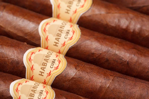 Cuban cigar close-up — Stock Photo, Image