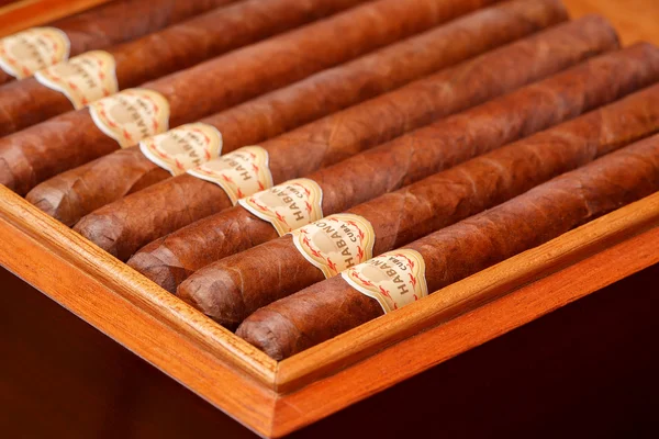 Cuban cigar close-up — Stock Photo, Image