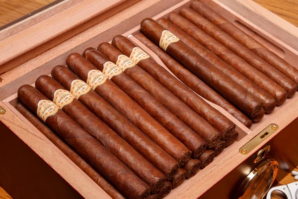 Cuban cigar close-up — Stock Photo, Image