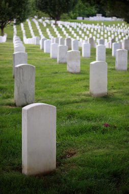Arlington Ulusal Mezarlığı 