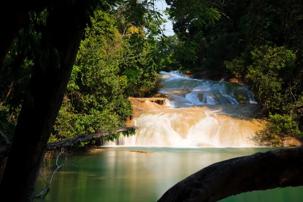 Cachoeiras palenques — Fotografia de Stock