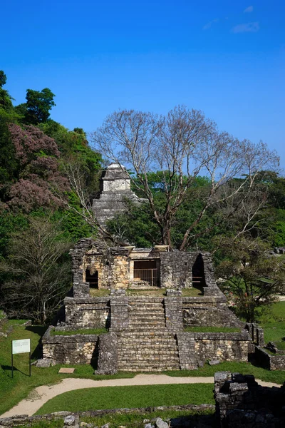 Templo xiv — Fotografia de Stock