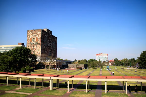 Központi könyvtár, Unam campus — Stock Fotó