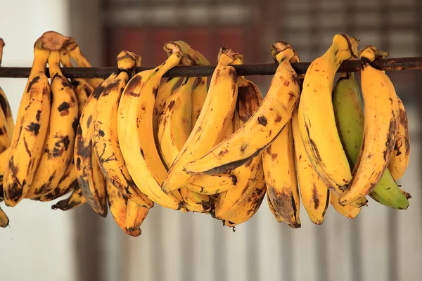 Bananas — Stock Photo, Image