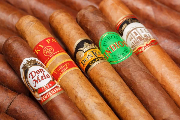 Honduran cigars. — Stock Photo, Image