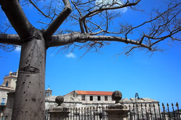 First Christian celebration in Cuba — Stock Photo, Image