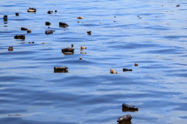 Çöp ve plastik şişe