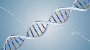The structure of the human DNA rotates against the background of compounds and numbers. Conceptual science technology 3d animation seamless loop.
