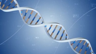 The structure of the human DNA rotates against the background of compounds and numbers. Conceptual science technology 3d animation seamless loop.