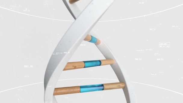 The structure of the human DNA rotates against the background of compounds and numbers. Conceptual science technology 3d animation seamless loop. — Stock Video