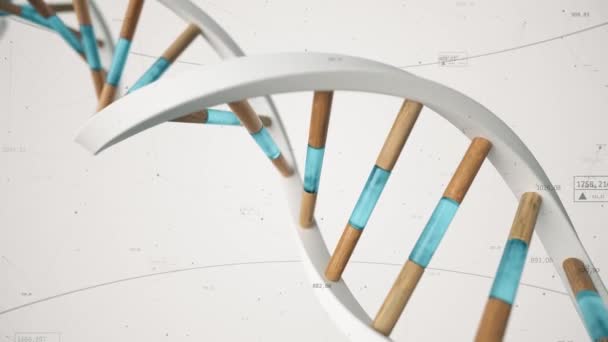 La structure de l'ADN humain tourne sur le fond de composés et de nombres. technologie de la science conceptuelle animation 3D boucle transparente. — Video