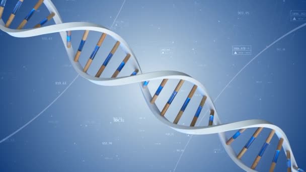 Η δομή του ανθρώπινου DNA περιστρέφεται στο παρασκήνιο των ενώσεων και των αριθμών. Τεχνολογία εννοιολογικής επιστήμης 3d animation χωρίς ραφή βρόχος. — Αρχείο Βίντεο