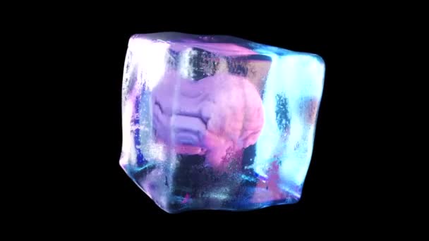 Um cérebro humano congelado dentro de um cubo de gelo giratório. Laço sem costura 3d render. — Vídeo de Stock
