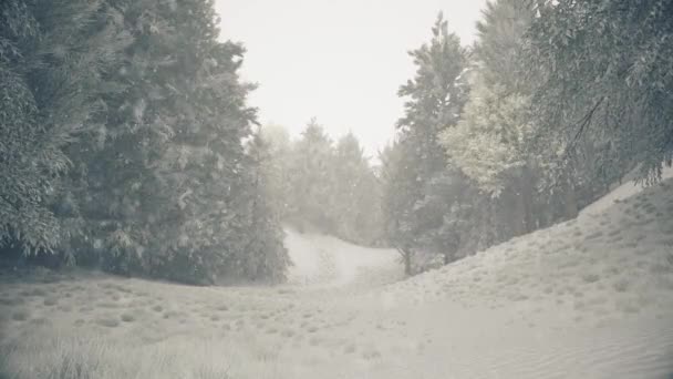 森の中の冬の雪、雪の降る穏やかな美しい雪のクリスマスの朝。冬の風景。雪に覆われた木や歩道。霧だ。超現実的な3Dシームレスループアニメーション — ストック動画