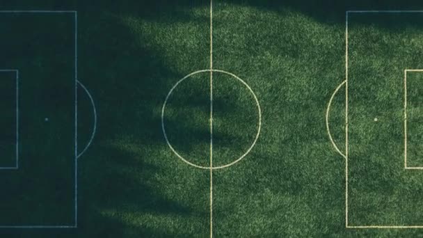 Campo de futebol no meio da vista superior da floresta. Fotografia aérea simulada. Animação 3D realista — Vídeo de Stock