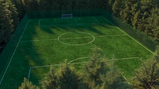 Campo de futebol no meio da vista superior da floresta. Fotografia aérea simulada. Animação 3D realista — Vídeo de Stock