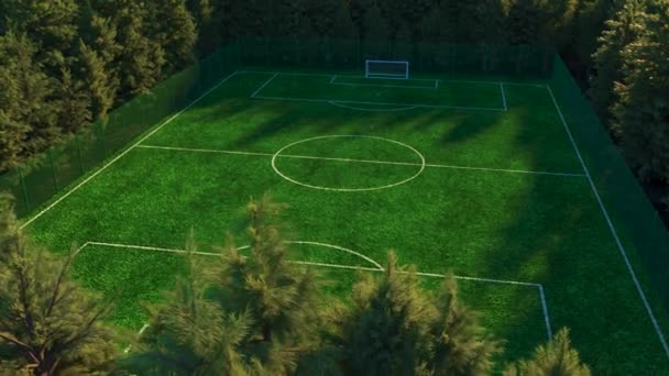 Campo di calcio in mezzo alla foresta vista dall'alto. Fotografia aerea simulata. Animazione 3D realistica — Video Stock