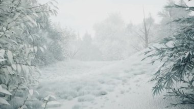 Ormanda kar yağışı, yağan karla birlikte güzel, güzel bir Noel sabahı. Kış manzarası. Noel arkaplanı. Karla kaplı ağaçlar. Sis. Ultra gerçekçi 3D kusursuz döngü animasyonu