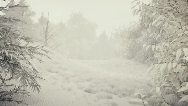 Nevicate invernali nella foresta, dolce bella mattina di Natale innevata con neve che cade. Paesaggio invernale. Sfondo natalizio. Alberi innevati. Nebbia. Animazione loop 3D ultra realistica senza soluzione di continuità — Video Stock