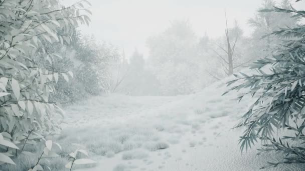 森の中の冬の雪、雪の降る穏やかな美しい雪のクリスマスの朝。冬の風景。クリスマスの背景。雪に覆われた木。霧だ。超現実的な3Dシームレスループアニメーション — ストック動画
