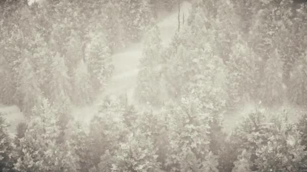 Зимові снігопади в лісі, ніжний сніжний різдвяний ранок з падаючим снігом. Зимовий пейзаж. Різдвяний фон. Сніг вкривав дерева. Туман. Ультрареалістична 3D безшовна циклічна анімація — стокове відео