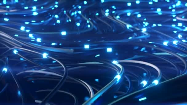 抽象的な光ファイバーラインの束。明るい光信号は、高速インターネット接続のためのデータを迅速に送信します。テクノロジーとインターネットの概念。3Dレンダリング — ストック動画
