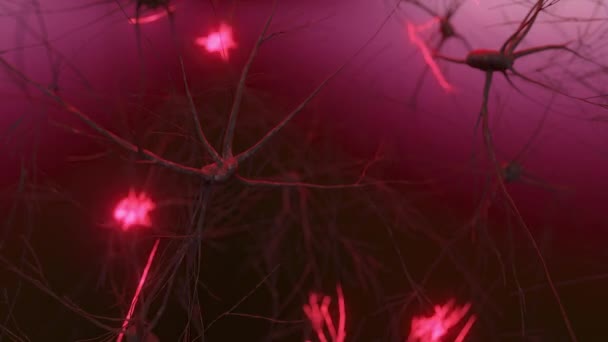 Animação da atividade dos neurônios e sinapses. Conexões neurais no espaço exterior, radioatividade, neurotransmissores, cérebro, axônios. Impulsos eléctricos a transmitir sinais. Conceito mental. — Vídeo de Stock