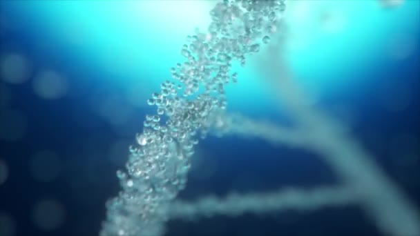 Abstrakt animerad konstruktion av en DNA-molekyl från vattenpartiklar. Animeringskoncept för digitalt DNA, mänskligt genom. Medicinsk forskning, genteknik. Futuristisk 4k-animering av DNA-molekyl — Stockvideo
