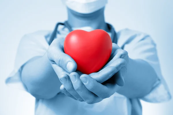 Doctor holding a heart — Stock Photo, Image