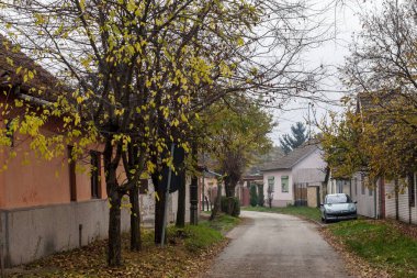 SUBOTICA, SERBIA - 18 Kasım 2020: Bir Voyvodina kenti olan Subotica 'nın Dudova Suma ve Noso selo bölgeleri arasında soğuk yağmurlu bir sonbahar öğleden sonrasında tipik yerleşim yeri caddesi