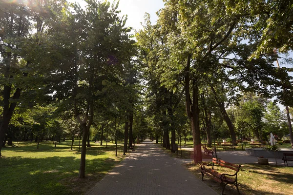 Hlavní Ulička Dlážděná Stezka Parku Gradski Také Nazývaného Městský Park — Stock fotografie