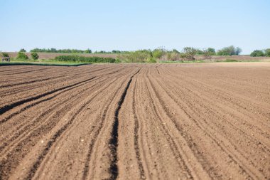 Sırbistan 'ın Voyvodina' daki kırsal kesiminde tarlada sürülen bir tarlada seçici bir bulanıklık. Saban, tarımda bir toprağı gübrelemek için kullanılan tekniklerden biridir.