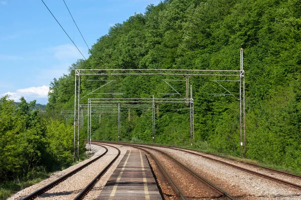 Sırbistan Bir Ormanın Ortasındaki Bir Tren Istasyonundaki Raylar Raylar Platformlar — Stok fotoğraf
