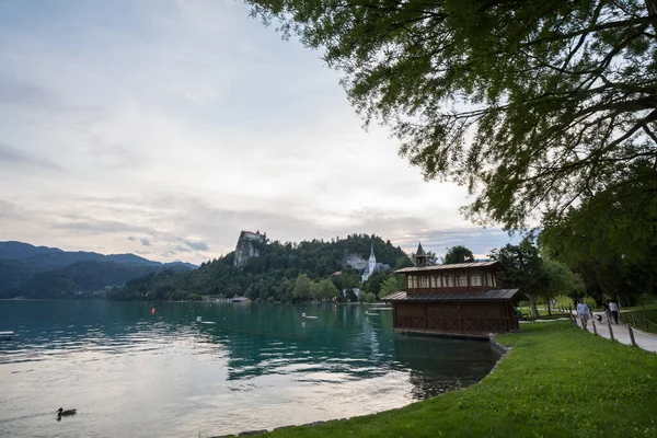 Bled Eslovenia Junio 2021 Panorama Del Lago Bled Blejsko Jezero — Foto de Stock