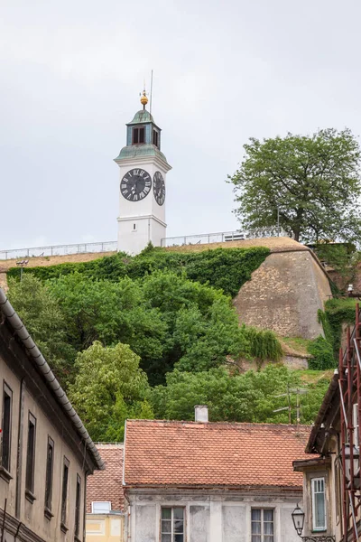 Sırbistan Novi Sad Kentindeki Petrovaradin Kalesinin Saat Kulesi Petrovaradin Kasabasından — Stok fotoğraf