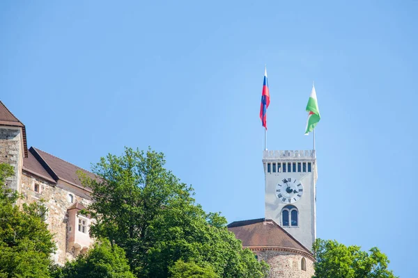Şehir Bayrağıyla Birlikte Ljubljana Şatosundaki Tepeden Alınan Outlook Kulesi Veya — Stok fotoğraf