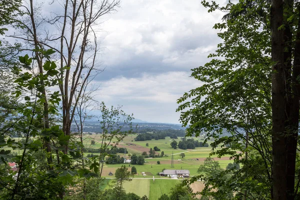Panorama Pláních Gorenjska Carniola Vykrvácených Slovenia Poli Zemědělské Půdy Farmy — Stock fotografie