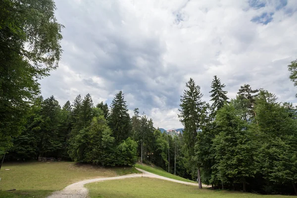 Κλίση Σκι Καλοκαίρι Στη Μέση Των Ιουλιανών Άλπεων Στο Bled — Φωτογραφία Αρχείου
