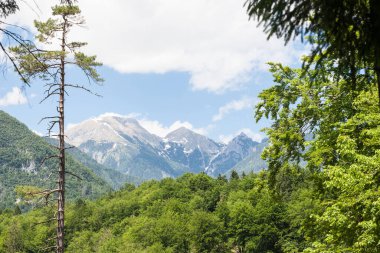 Triglav, Mali Draski, Tosc ve Skrlatica dağları Slovenya 'daki Julian Alpleri' nde, Bohinj 'de yazın bir ormanla çevrili. Triglav vrh Slovenya 'nın en yüksek zirvesi ve dağıdır.
