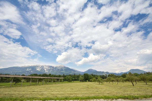Panorama Pláních Gorenjska Carniola Vykrvácené Slovenia Polí Zemědělské Půdy Farmy — Stock fotografie
