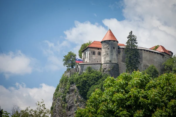 Blejski Hrad Olarak Bilinen Kan Kalesi Ndeki Seçici Bulanıklık Yaz — Stok fotoğraf