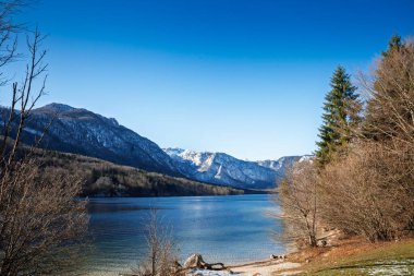Bohinjsko jezero 'nun geniş panoraması - Slovenya' nın Triglav Ulusal Parkı 'nda Bohinj Gölü, karla kaplanmış Julian Alpleri, berrak mavi su ve açık bir kış gökyüzü altında orman kıyıları.