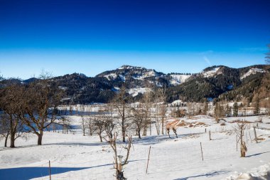 Slovenya 'nın Zgornje Jezersko kentinin panoramik manzarası. Meyve bahçelerinin Julian Alpleri' nin yanında beyaz bir vadi çitleri var. Mavi gökyüzü ve yamalı orman dağınık evler ve ahırlar ile kırsal bir kış ovasını özetliyor..