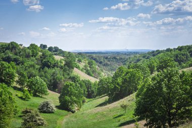 Sırbistan 'ın Voyvodina eyaletinin Banat kentindeki Deliblato Sands bölgesinde Zagajicka brda' nın panoramik manzarası. Yuvarlanan kum tepeleri ve yeşil yamaçlar parlak bir gökyüzünün altında ufka doğru uzanıyor..