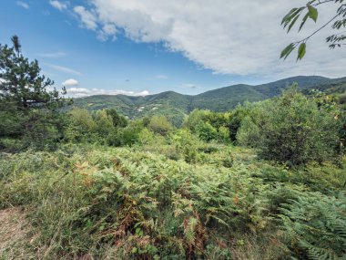 Sırbistan 'ın orta kesimindeki Rudnik Dağları üzerinde geniş bir manzara. Eğreltiotu ve çalılıklar, dağılmış bulutlarla mavi bir gökyüzünün altındaki ağaçlık tepeleri saran çerçeve ve yamaçtan Sırp doğasının verimli bir görüntüsü..