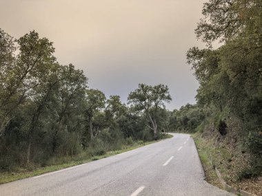 Var, Provence 'deki Massif des Maures' ın meşe ormanlarından geçen iki şeritli sessiz yol. Soluk asfalt, eğri çizgiler ve yoğun Akdeniz ormanı tipik bir kırsal güzergahı betimliyor.